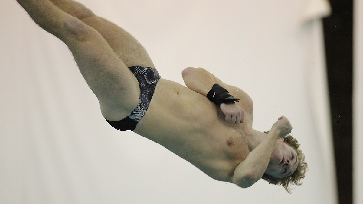 Diving Heads to Auburn for Winter Invite