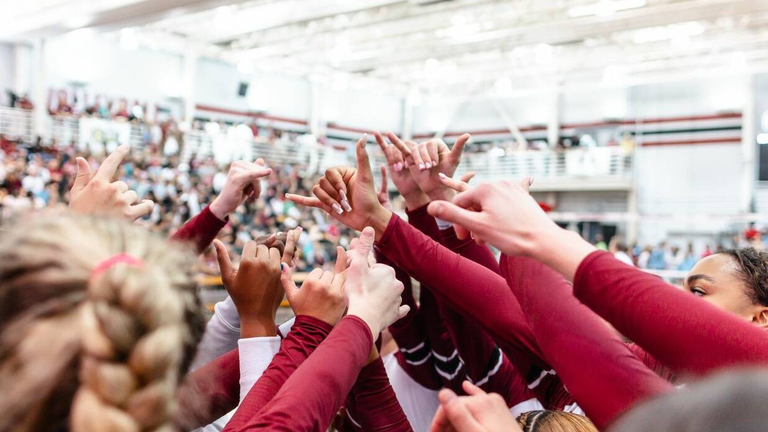 University of South Carolina Athletics