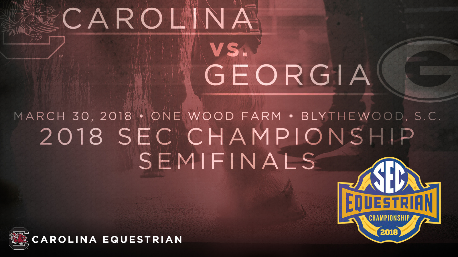 Gamecocks Host Georgia in SEC Championship Semifinals