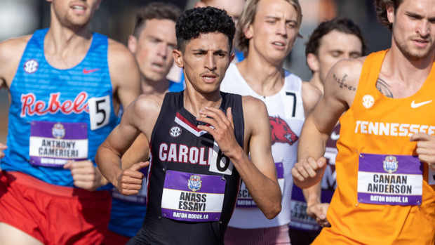 University of South Carolina Athletics