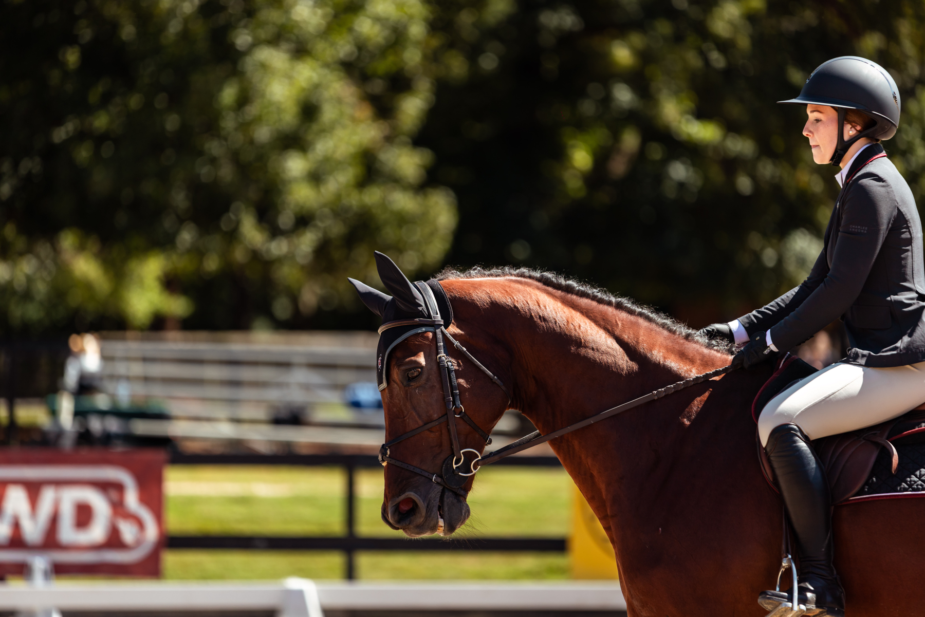 No. 2 Equestrian to Open Up Regular Season with Double Header