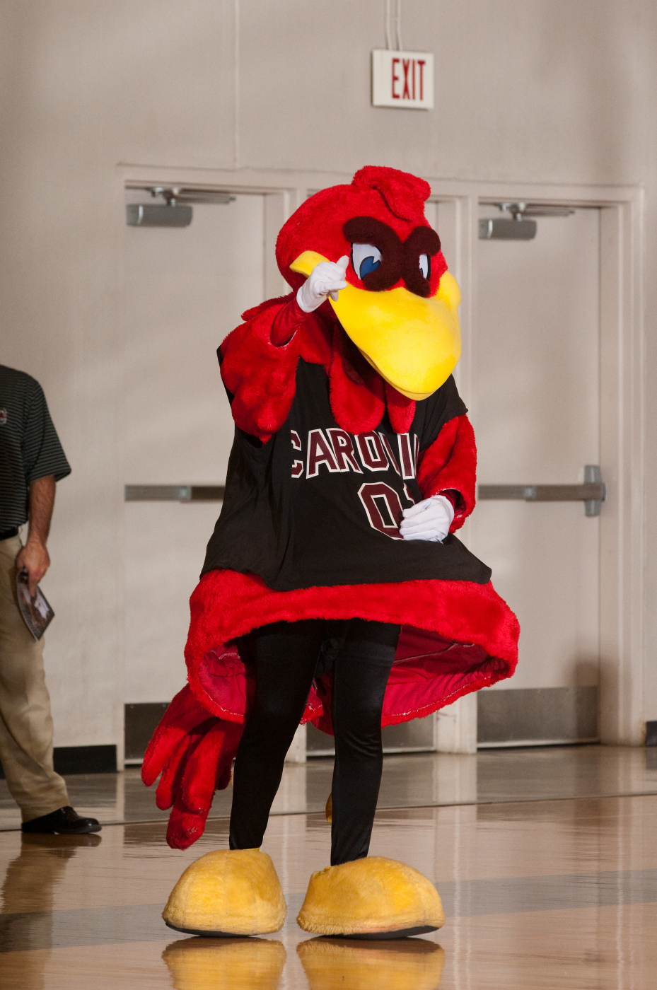 Gamecock Volleyball Looking for Cocky's Spirit Club Members