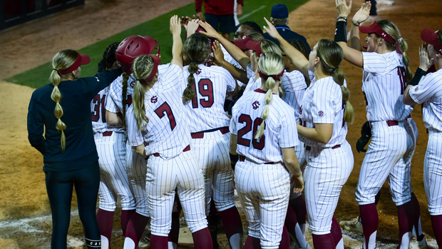 Softball Celebration