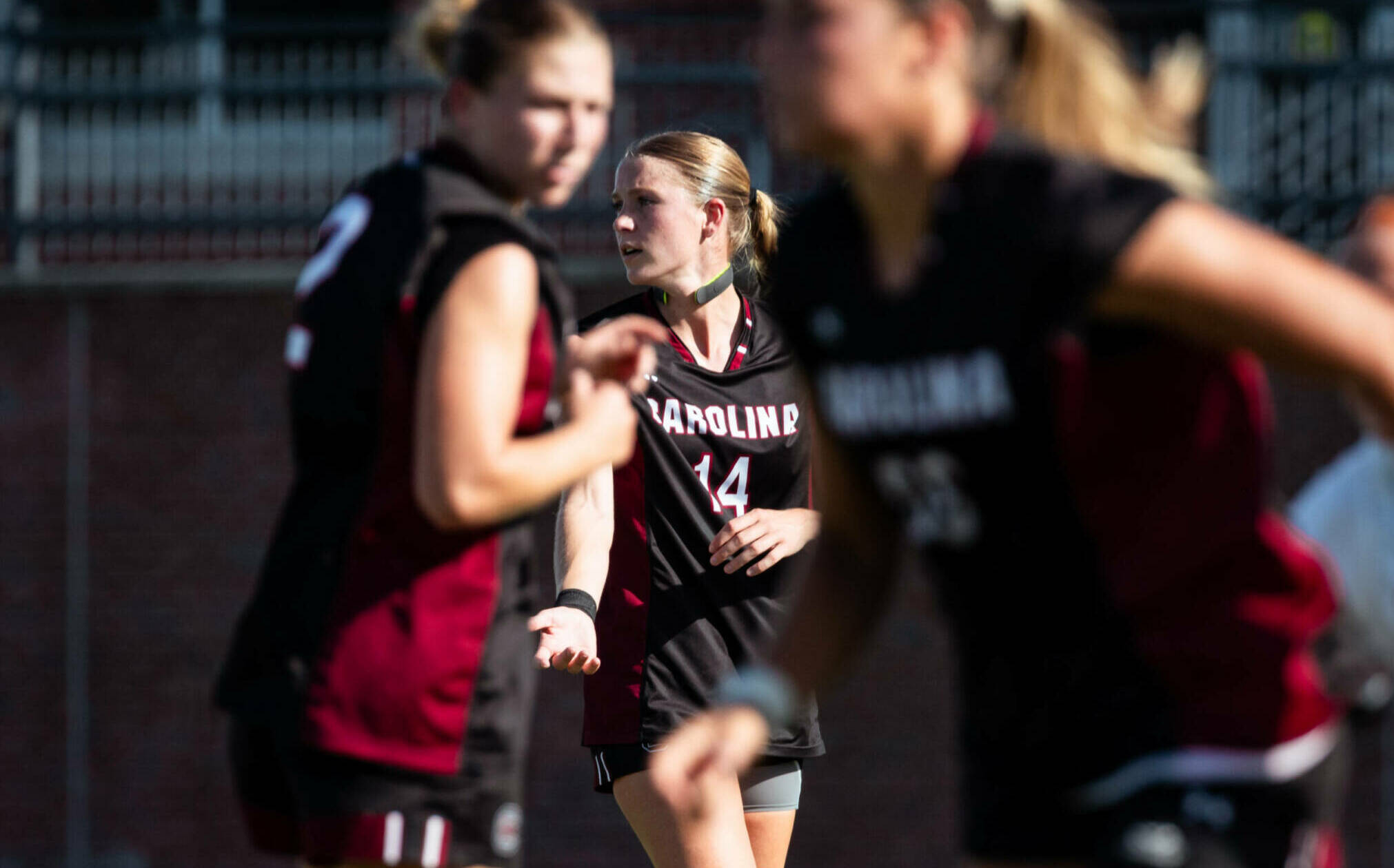 Gamecocks Pick Up Point on the Road Against Gators