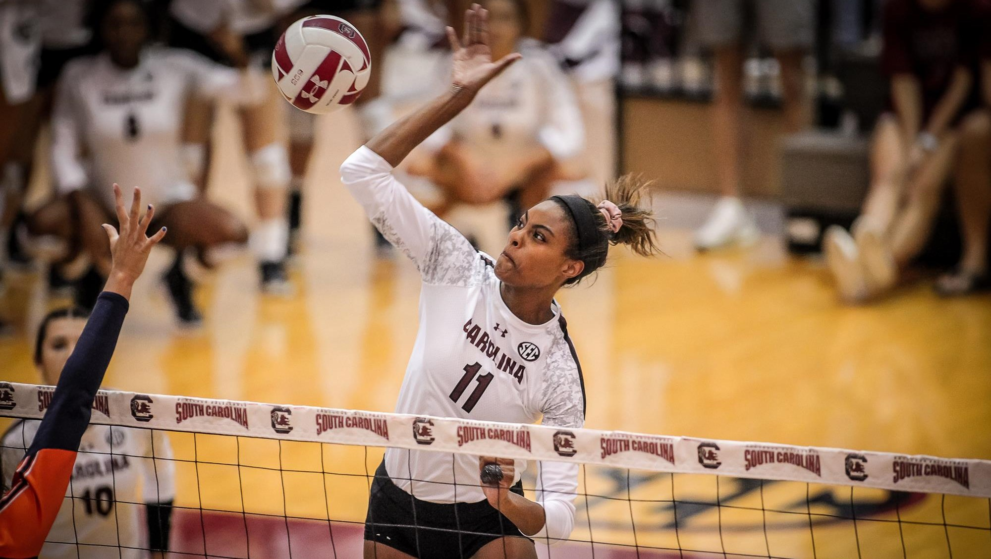 Mikayla Robinson Named to USA Volleyball Collegiate National Team