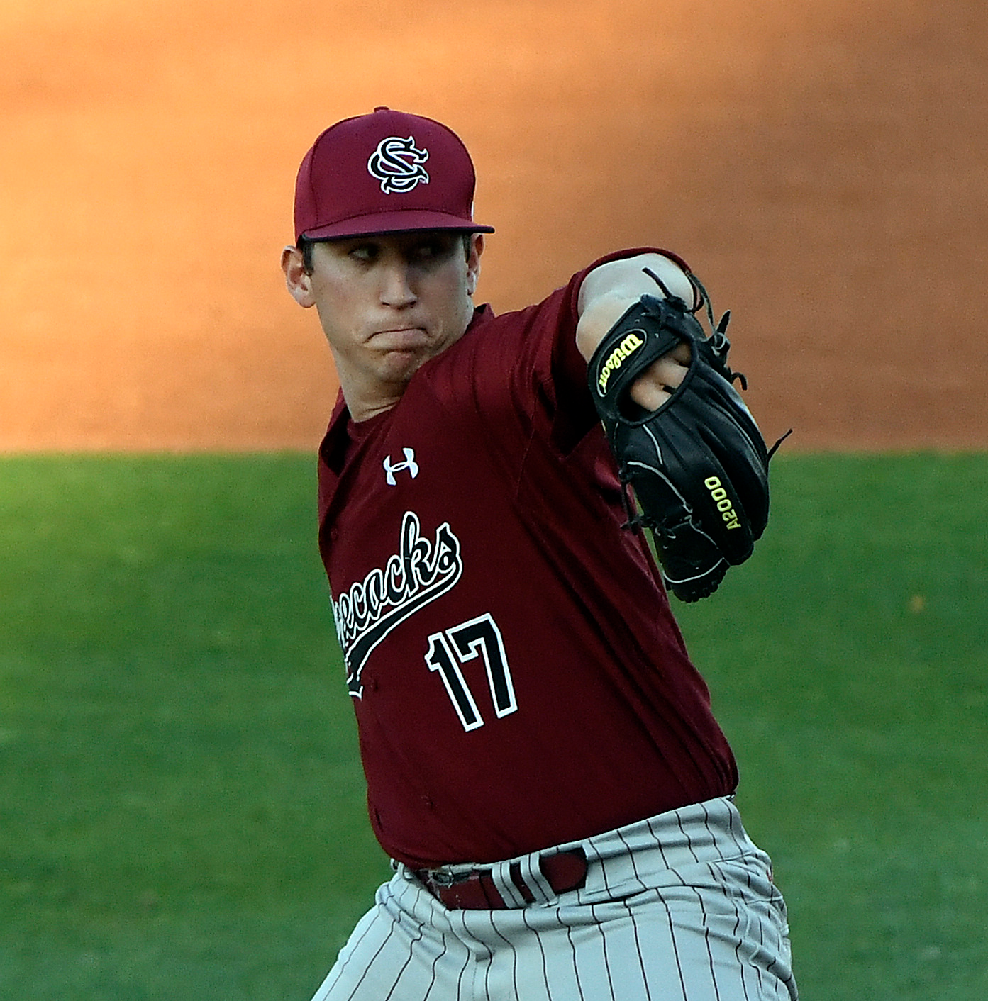 Baseball vs Furman (4/20/16)