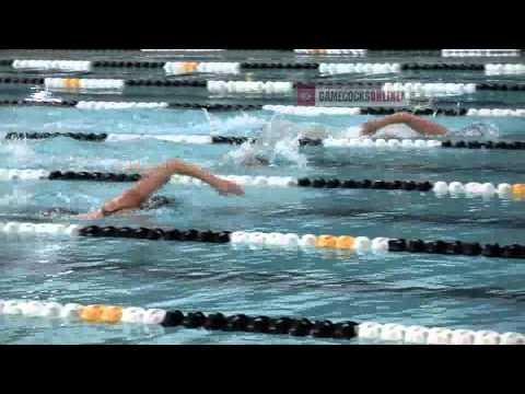 Swimming & Diving: Highlights vs. ECU, Vanderbilt