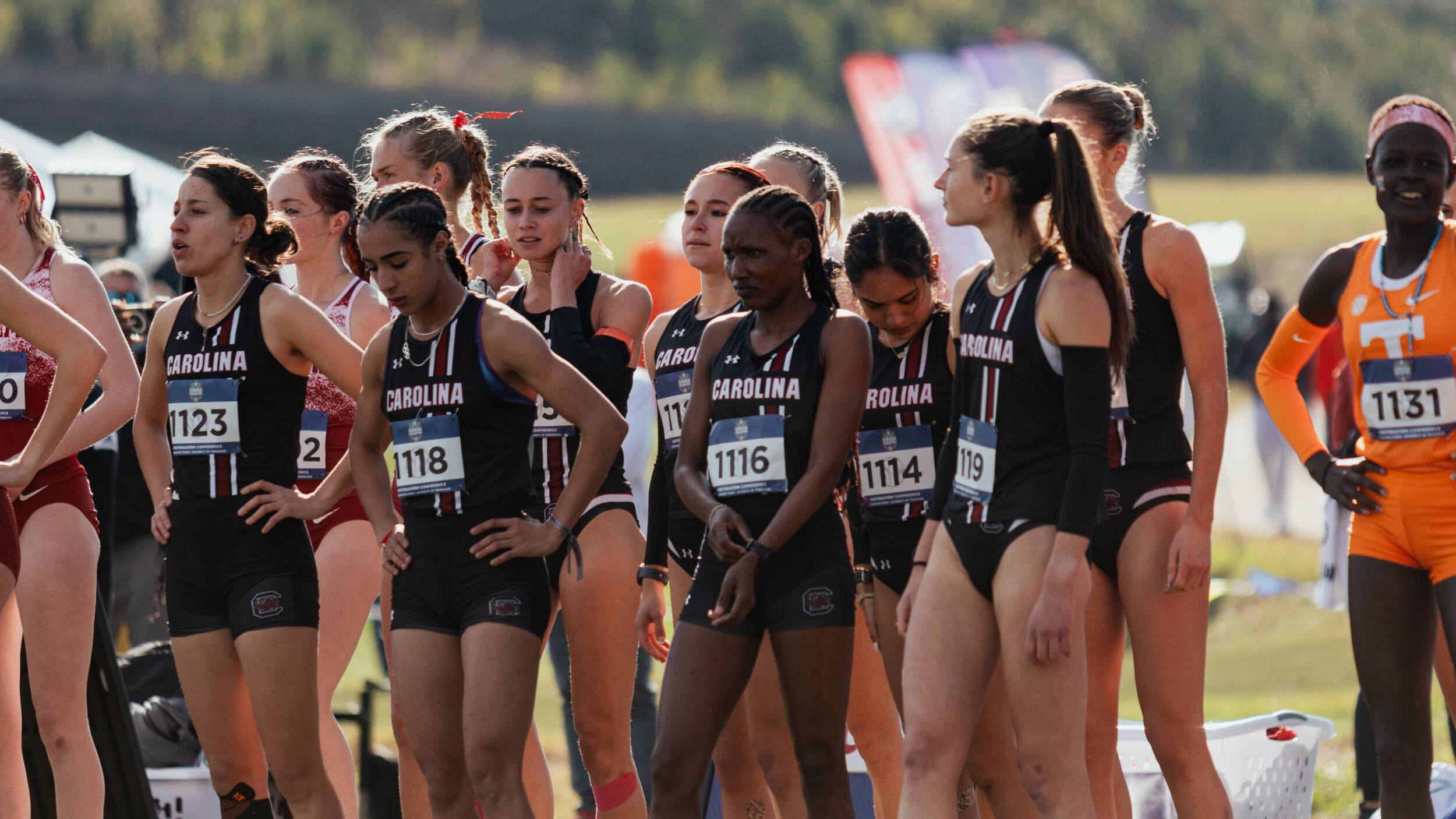 Gamecocks Look to Continue Historical Run at Regionals