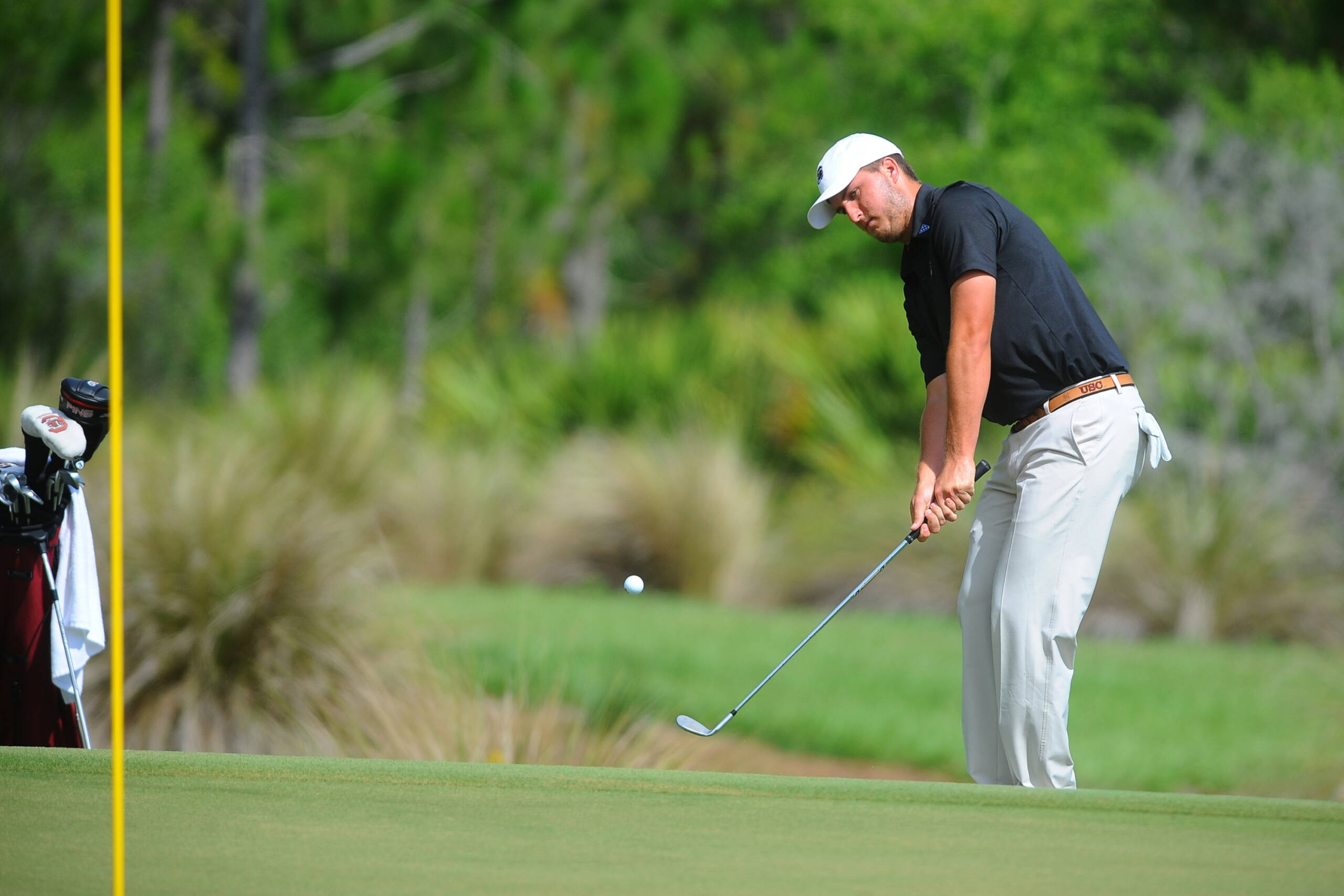 South Carolina at Fourth Round of NCAA Championship - 6/1/15