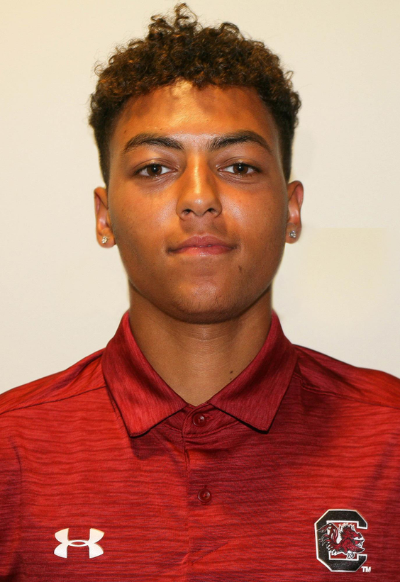 Paul Jubb - Men's Tennis - University of South Carolina Athletics