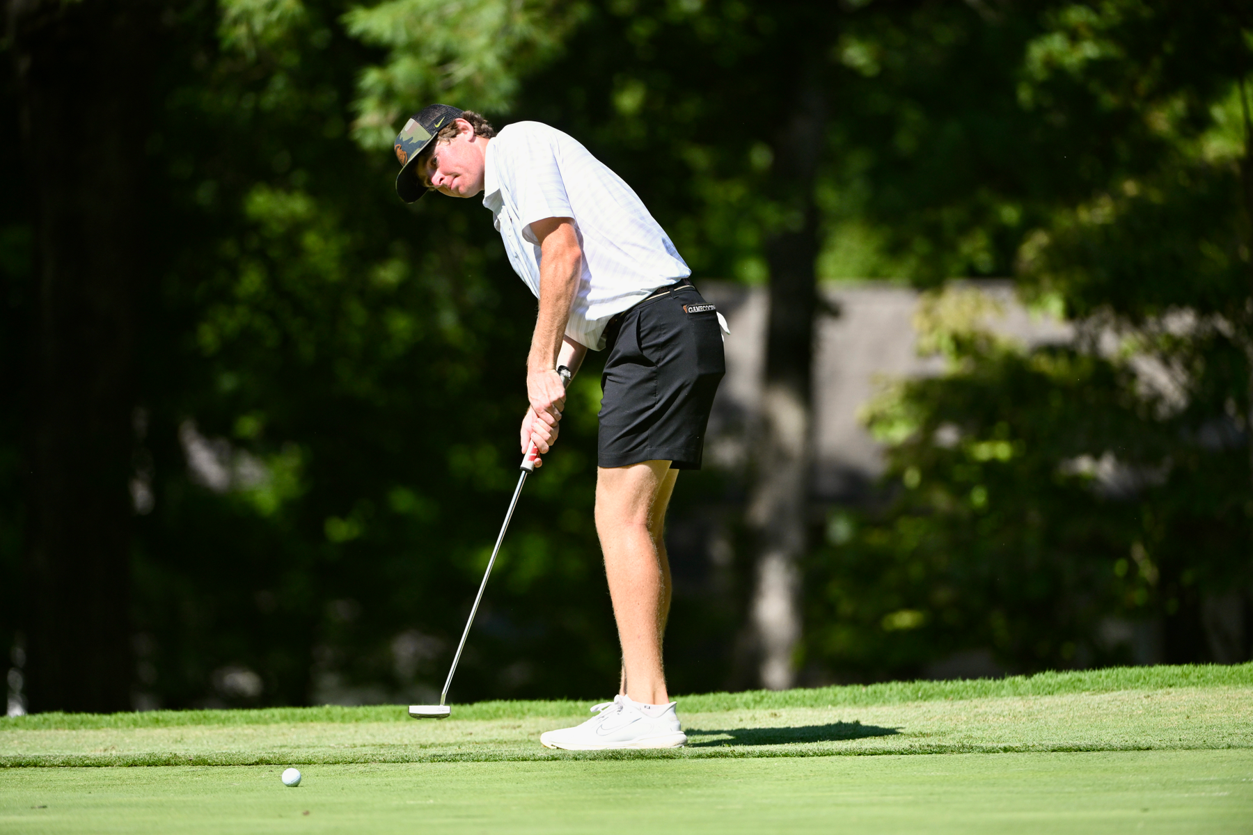Gamecocks Return to Action Sunday at J.T. Poston Invitational