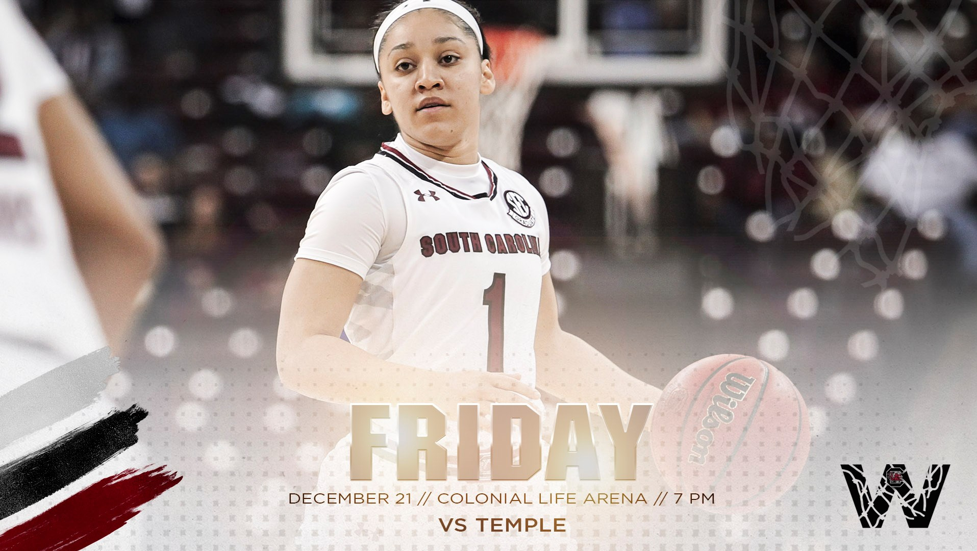 Gamecocks Host Temple in Pre-Holiday Finale