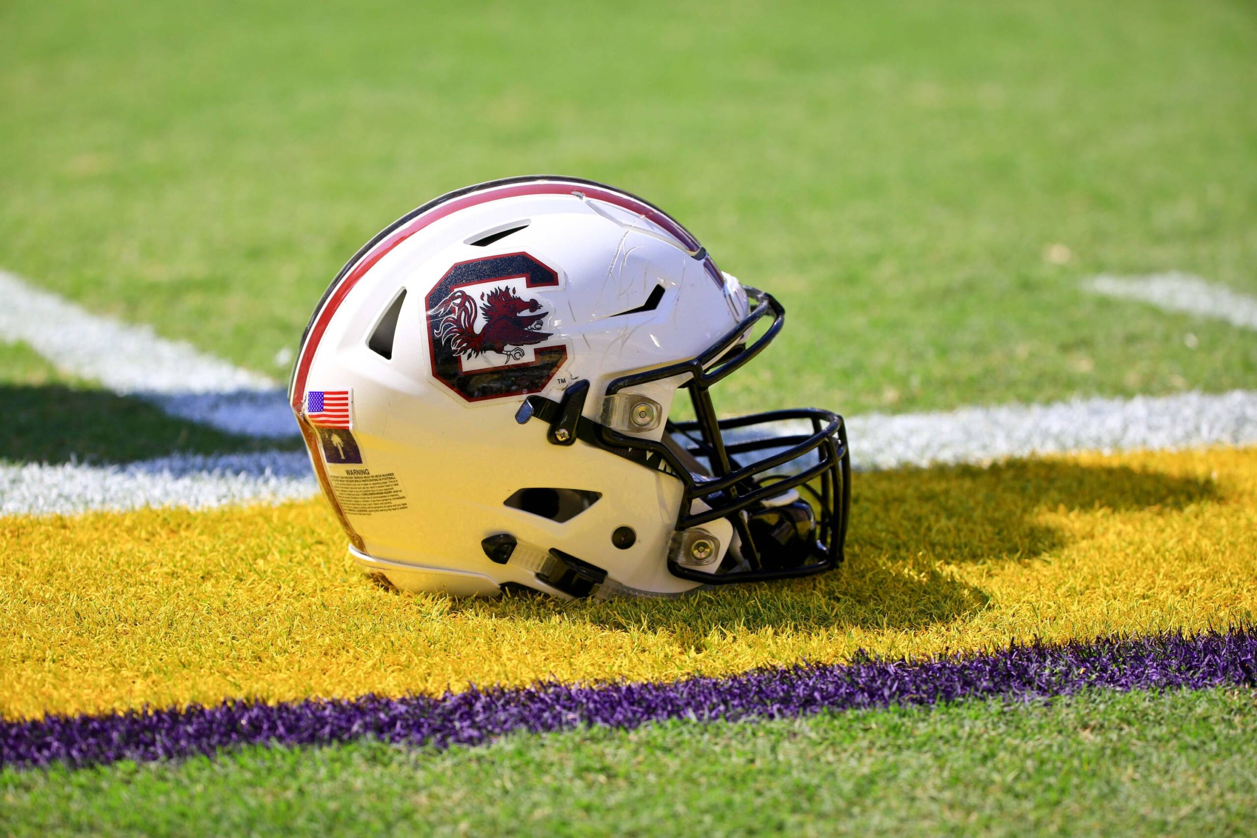 Gamecocks and LSU Tigers Set for Noon Kick Saturday