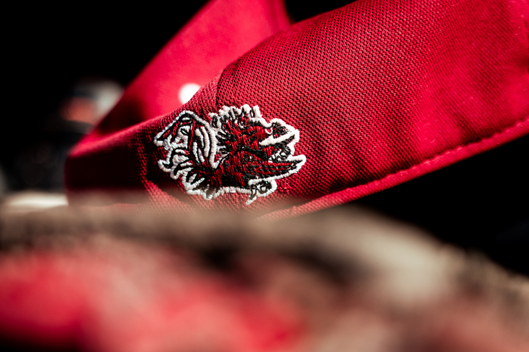 University of South Carolina Athletics