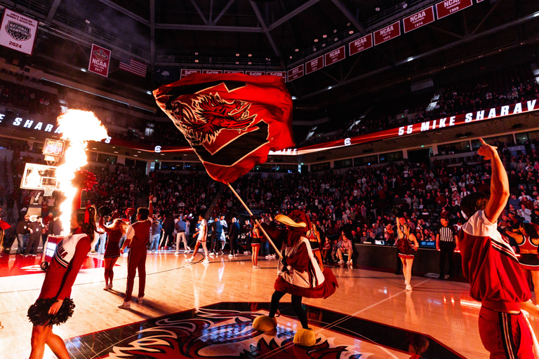 University of South Carolina Athletics