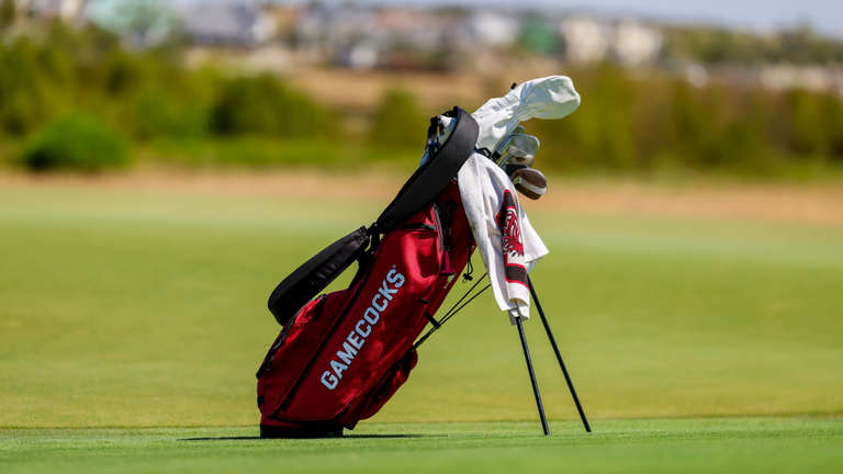 University of South Carolina Athletics