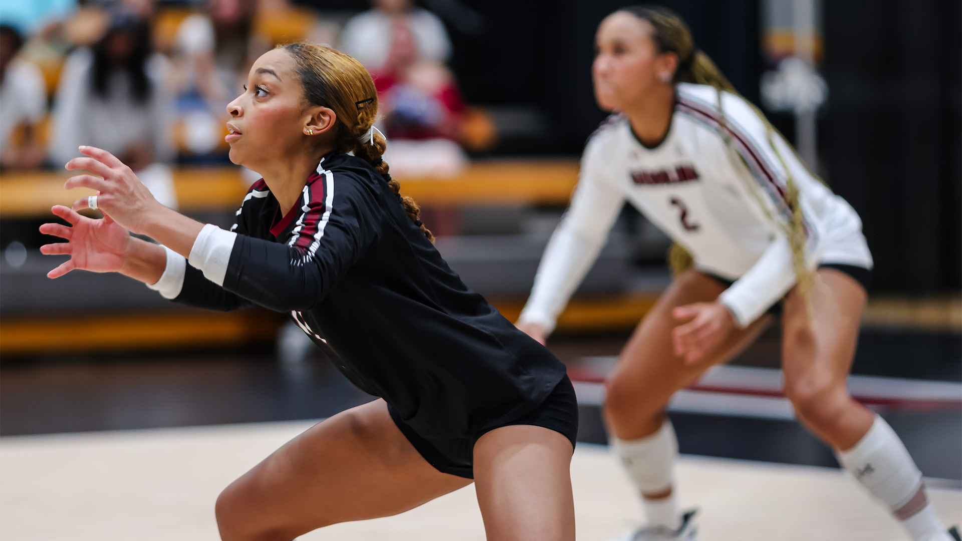 Gamecocks Drop Four-Set Battle to No. 9 Texas A&M