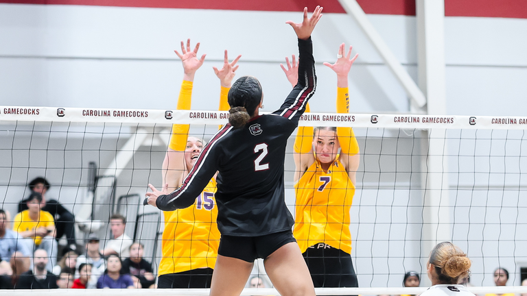 University of South Carolina Athletics