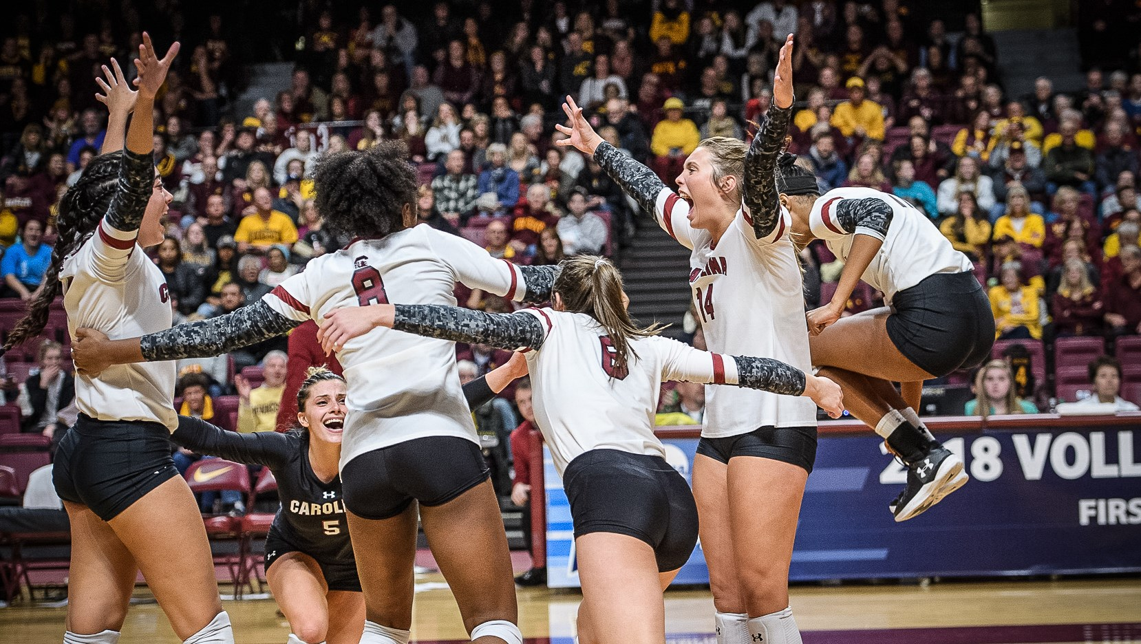 Gamecocks Survive and Advance; Defeat Colorado in Five to Open Postseason Play