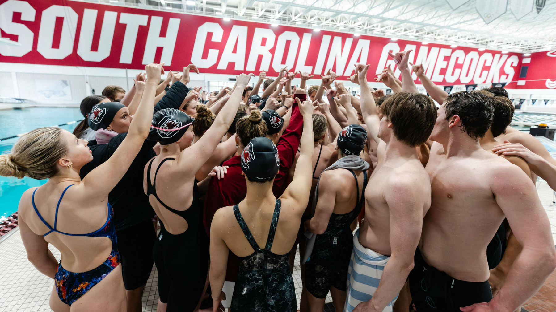 Men's Swimming and Diving Post Highest Team GPA in the Nation
