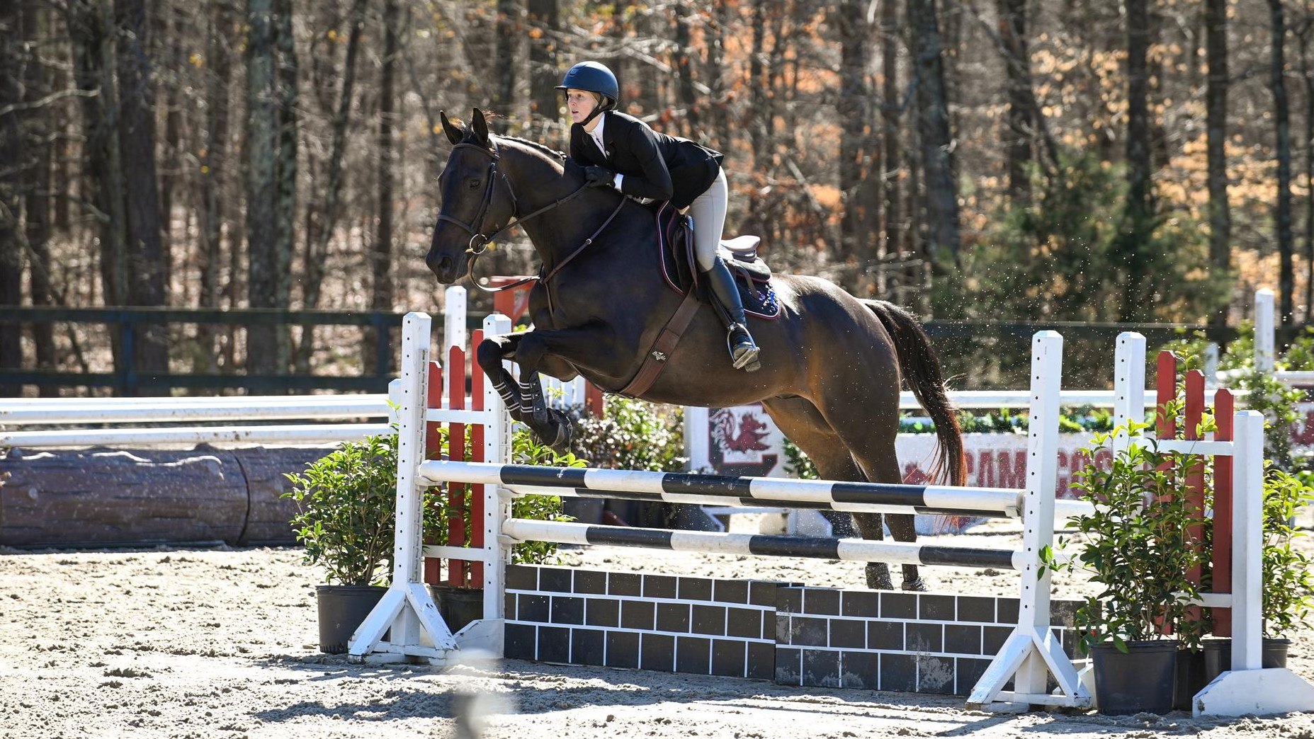 No. 10 Equestrian to Start Season in Delaware