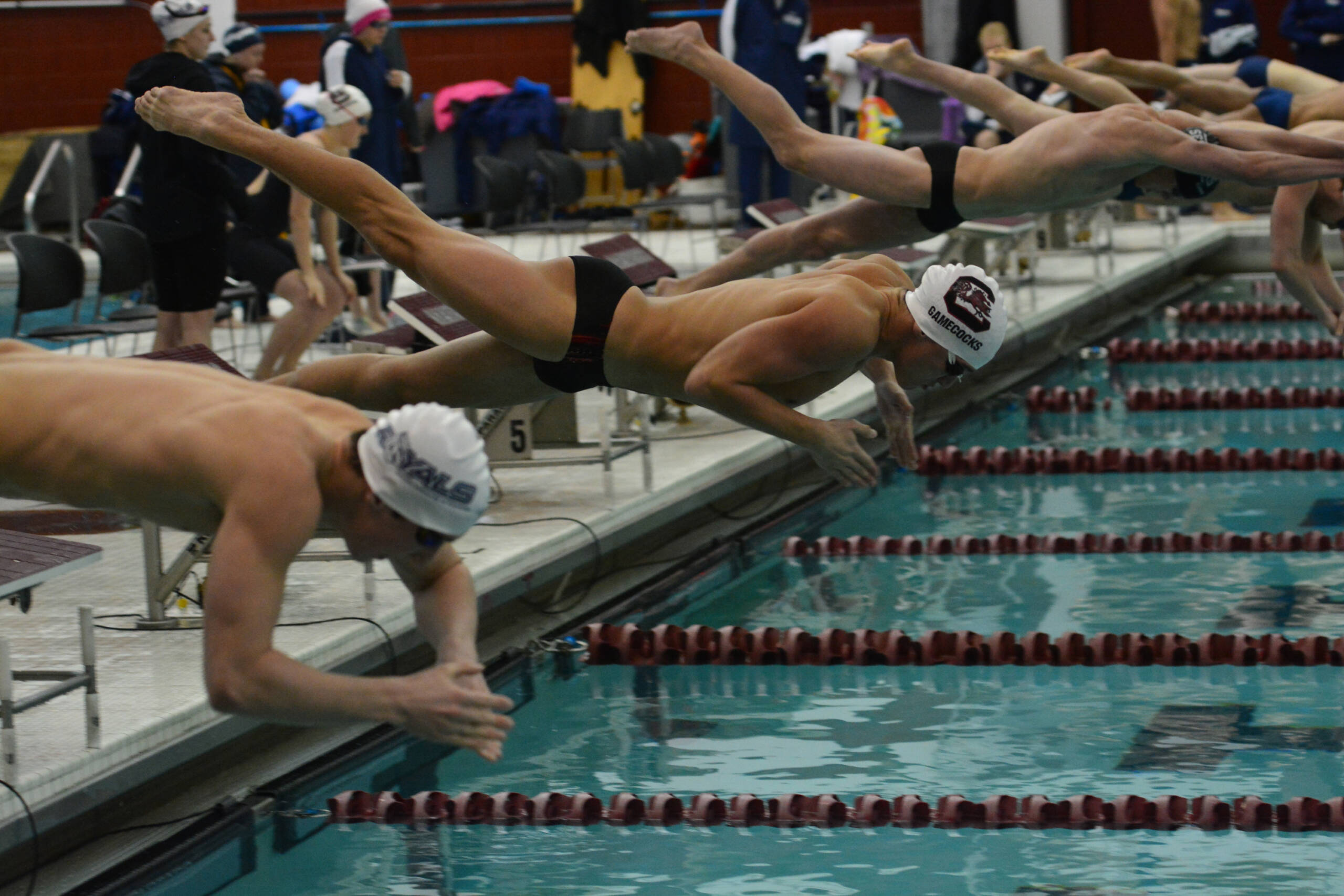 Swimming and Diving Opens Season at Home with Kentucky
