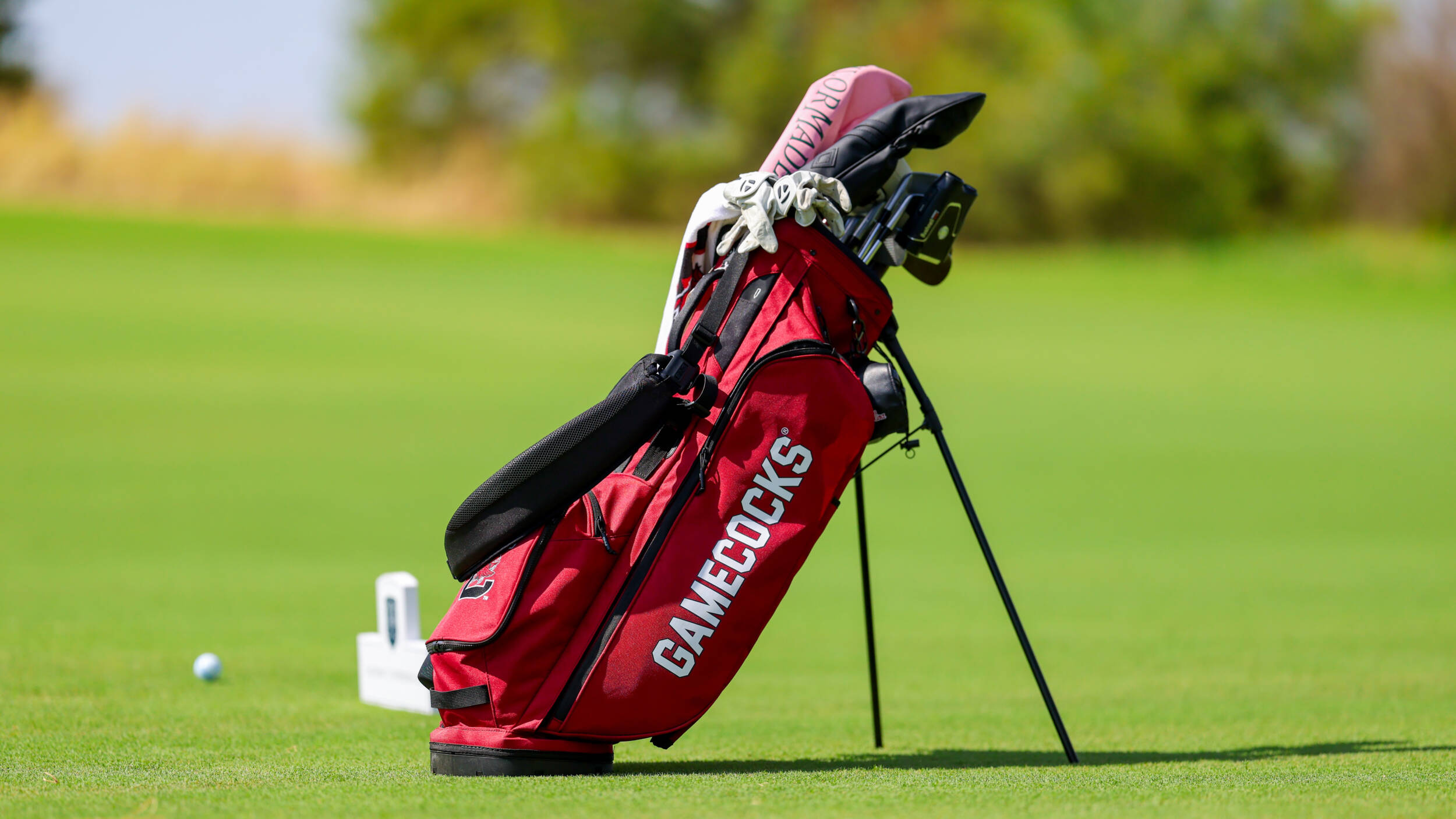 Quartet of Gamecocks to Tee Off at Tot Hill Farm Invitational
