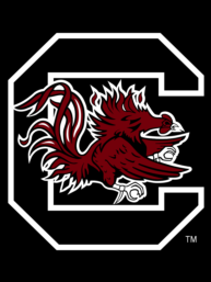 Reno Roehm - Football - University of South Carolina Athletics