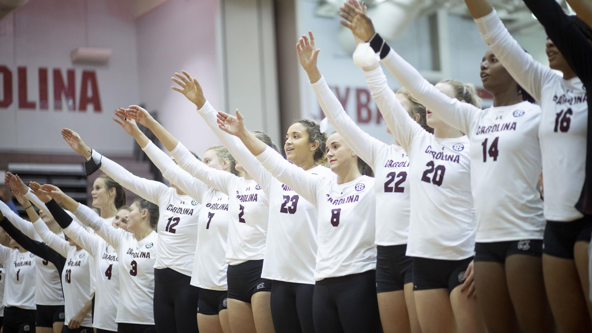 Volleyball Drops Rematch with No. 5 Kentucky