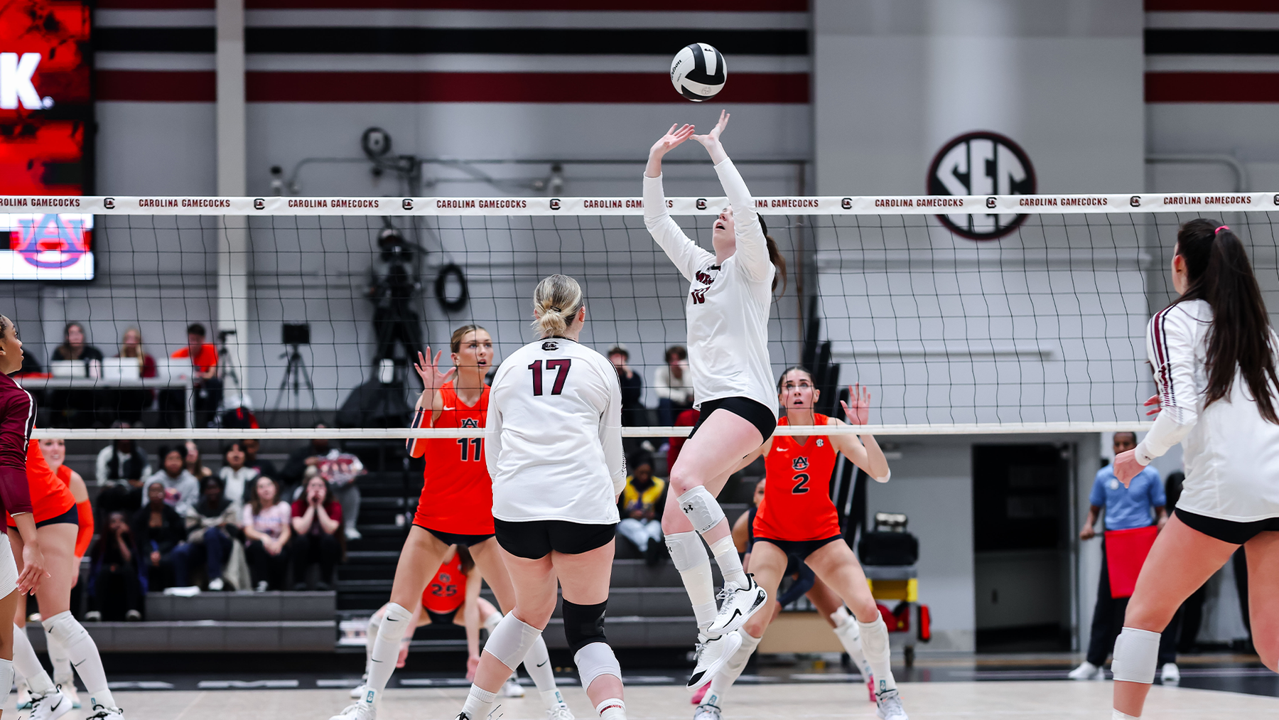 Two Gamecocks Tabbed to the CSC Academic All-District® Team