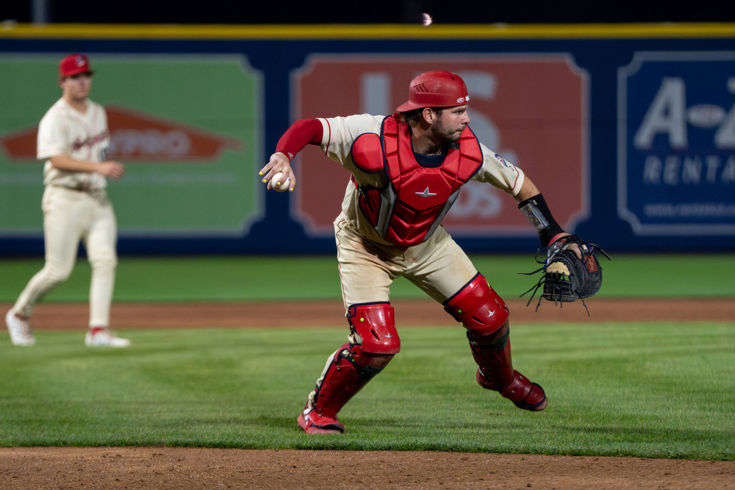 Gamecocks in the MiLB Season Wrap-Up