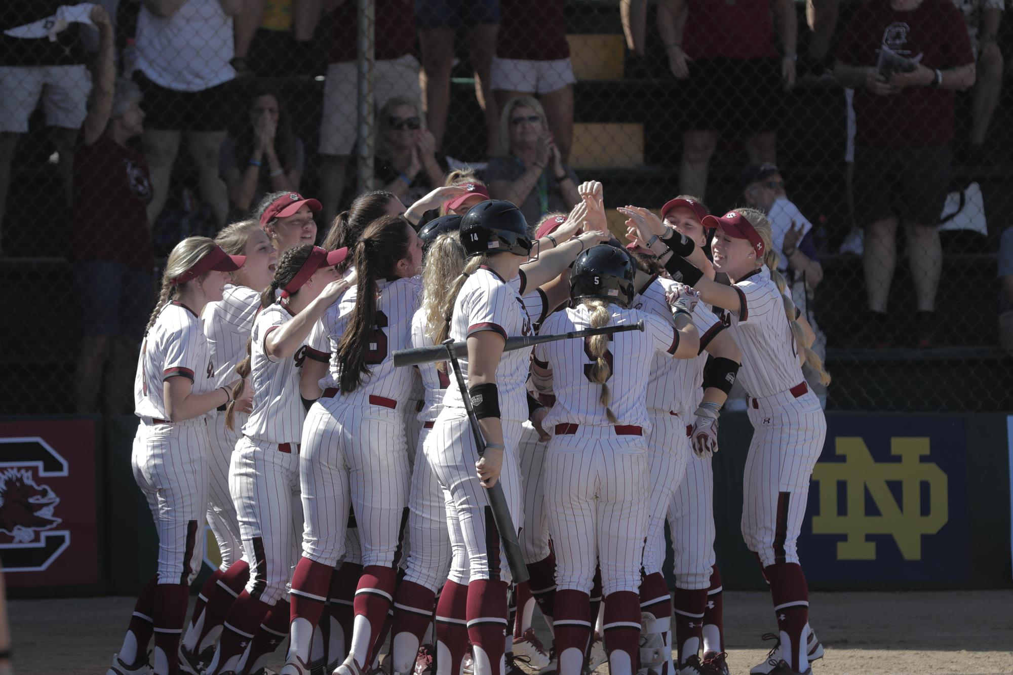 Gamecocks Open SEC Play Against Kentucky