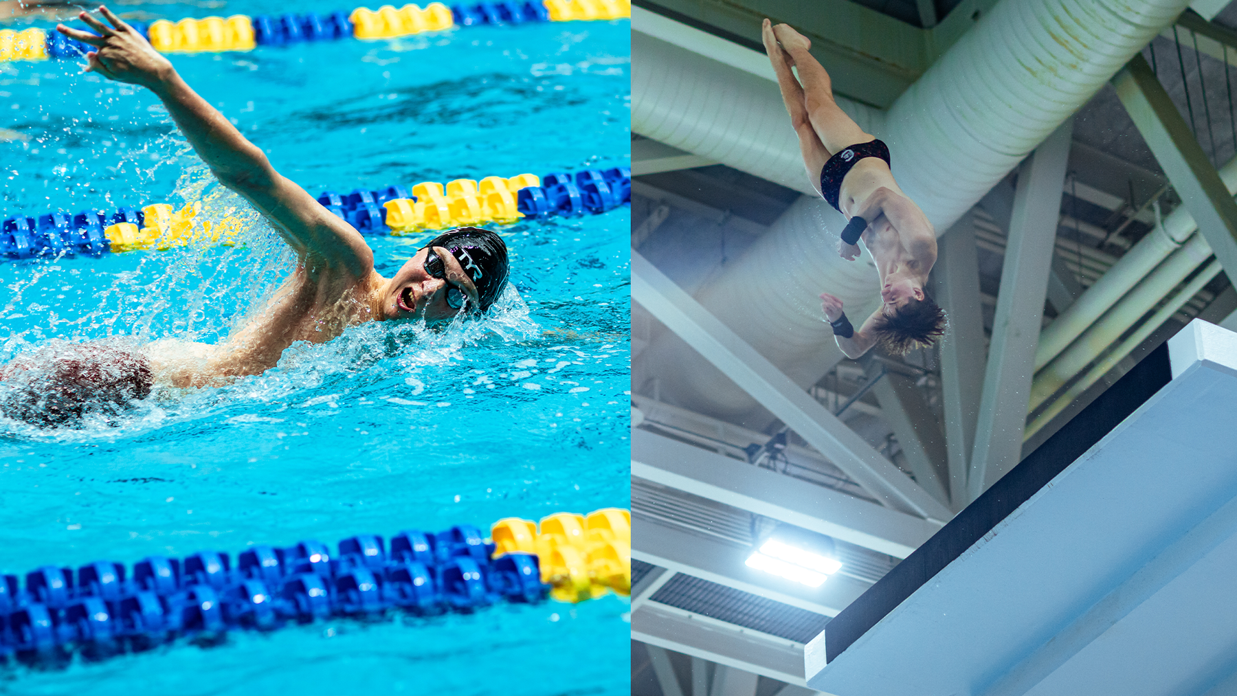 Men’s Swimming & Diving Set for NCAA Championships
