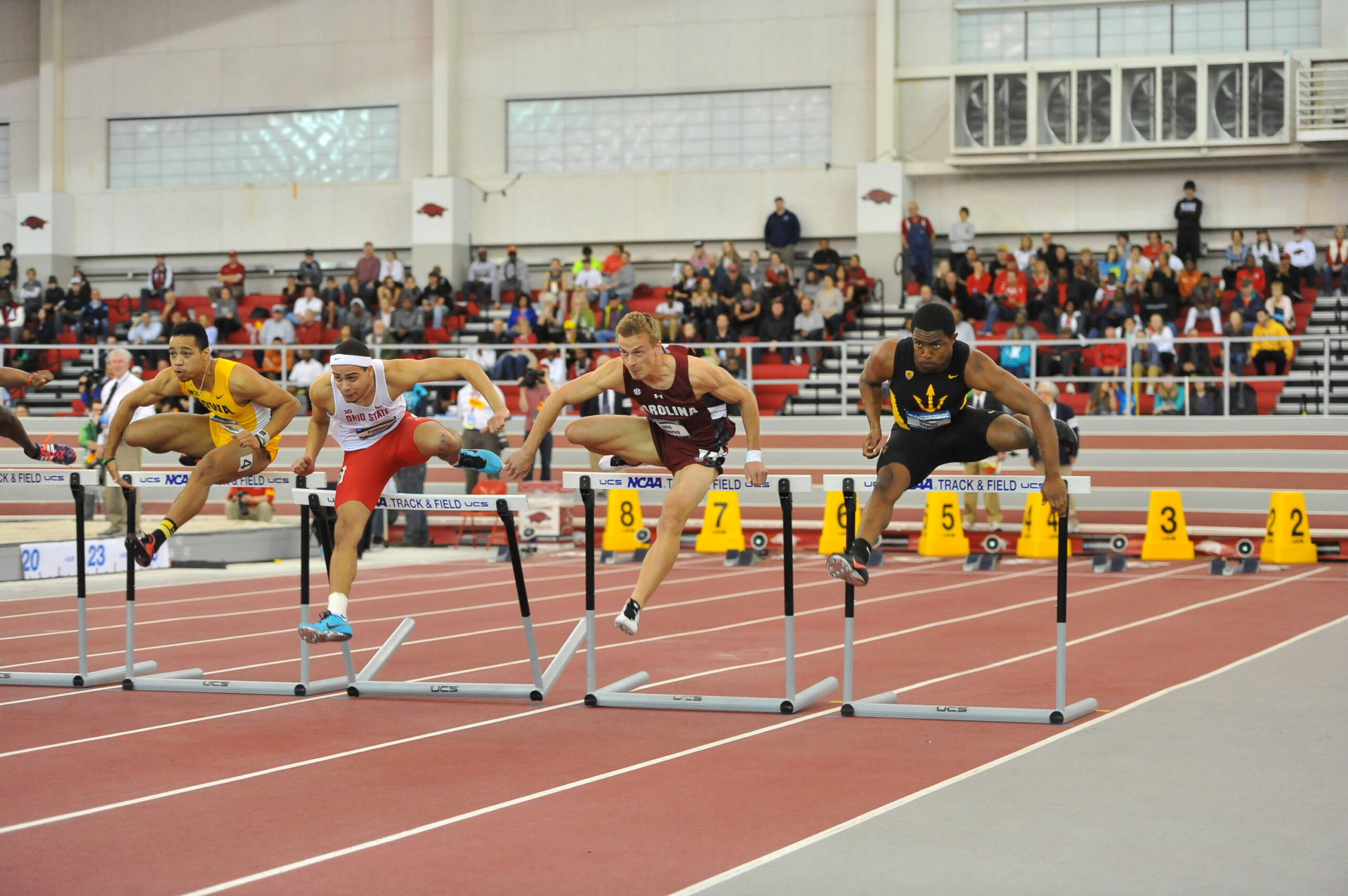 NCAA Indoor Championships