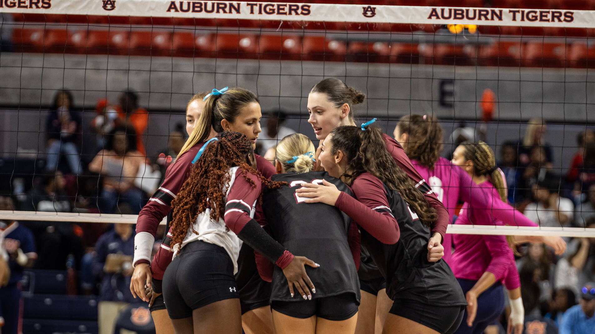Gamecocks Edged in Five Sets at No. 23 Auburn
