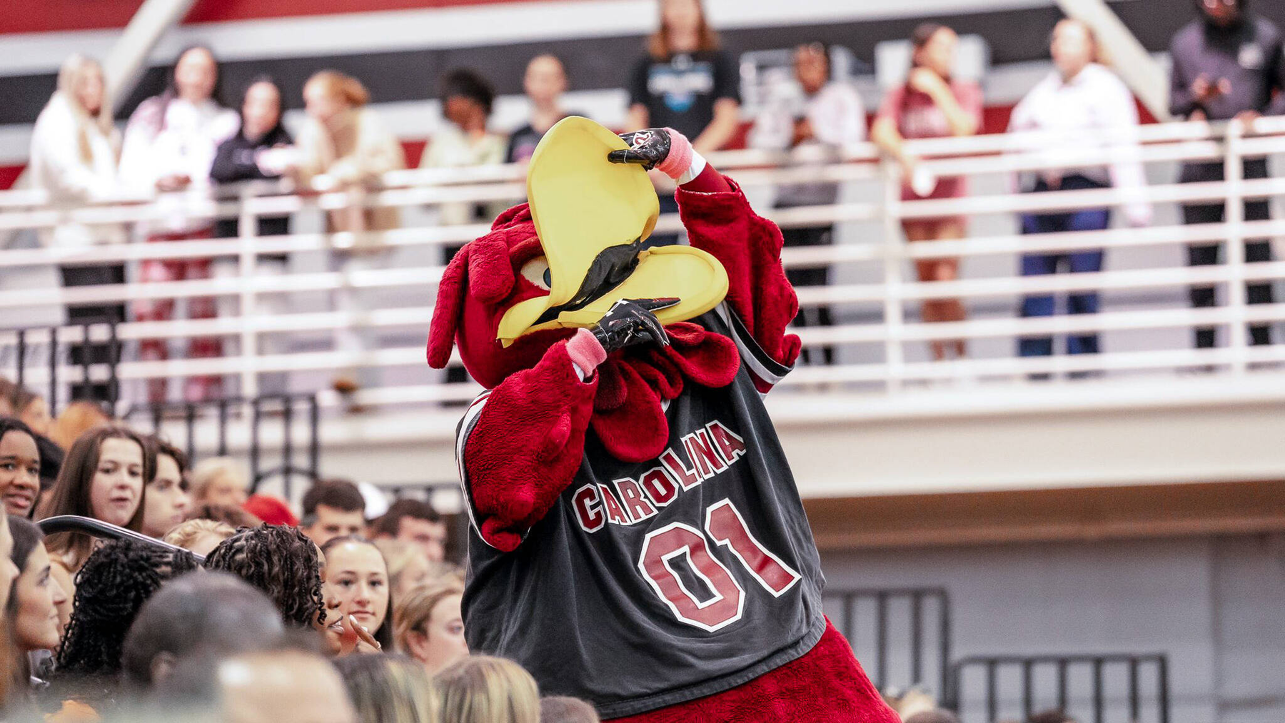 Gamecocks Finalize 2025 Squad