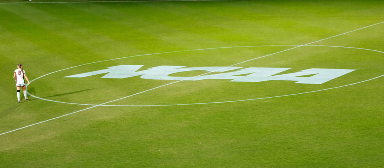 University of South Carolina Athletics