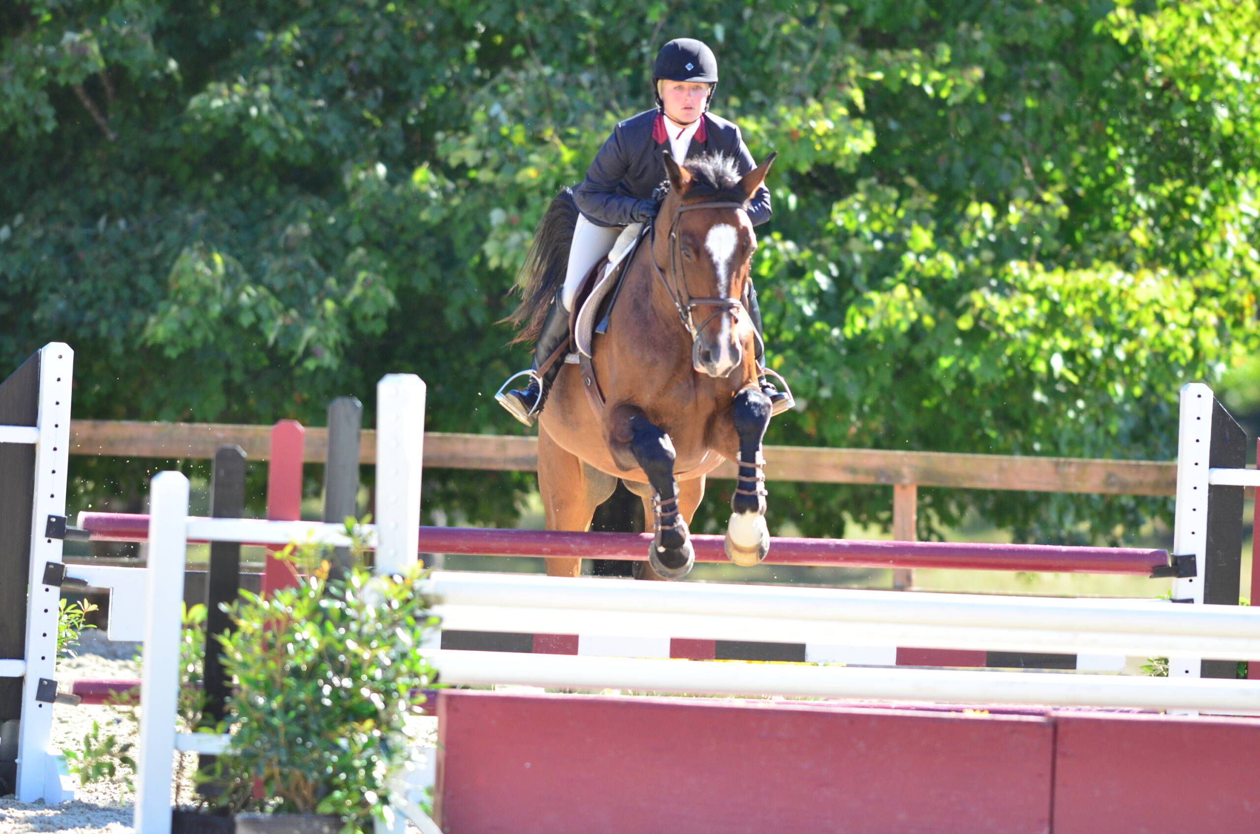 Equestrian vs. Fresno State (9/27/13)