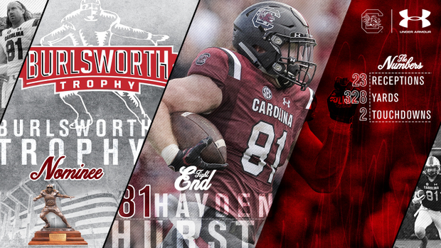 South Carolina football's Hayden Hurst long TV vs Arkansas