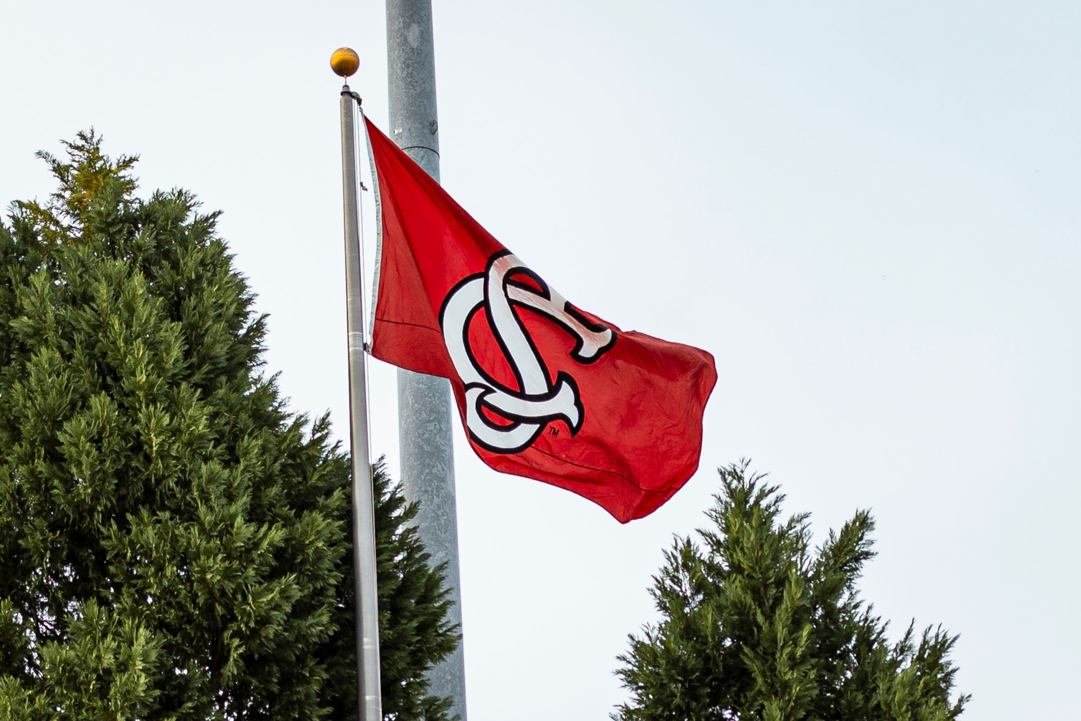 Statements from Paul Mainieri and Director of Athletics Jeremiah Donati