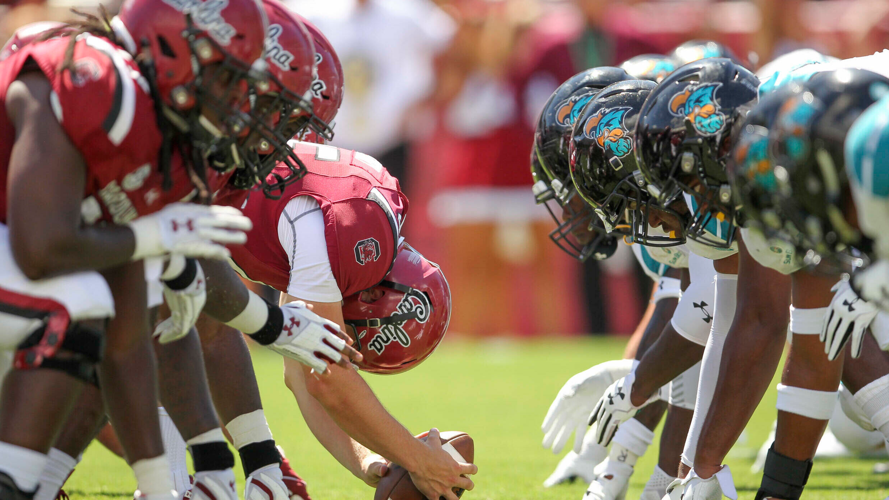 Gamecocks host Coastal Carolina Saturday