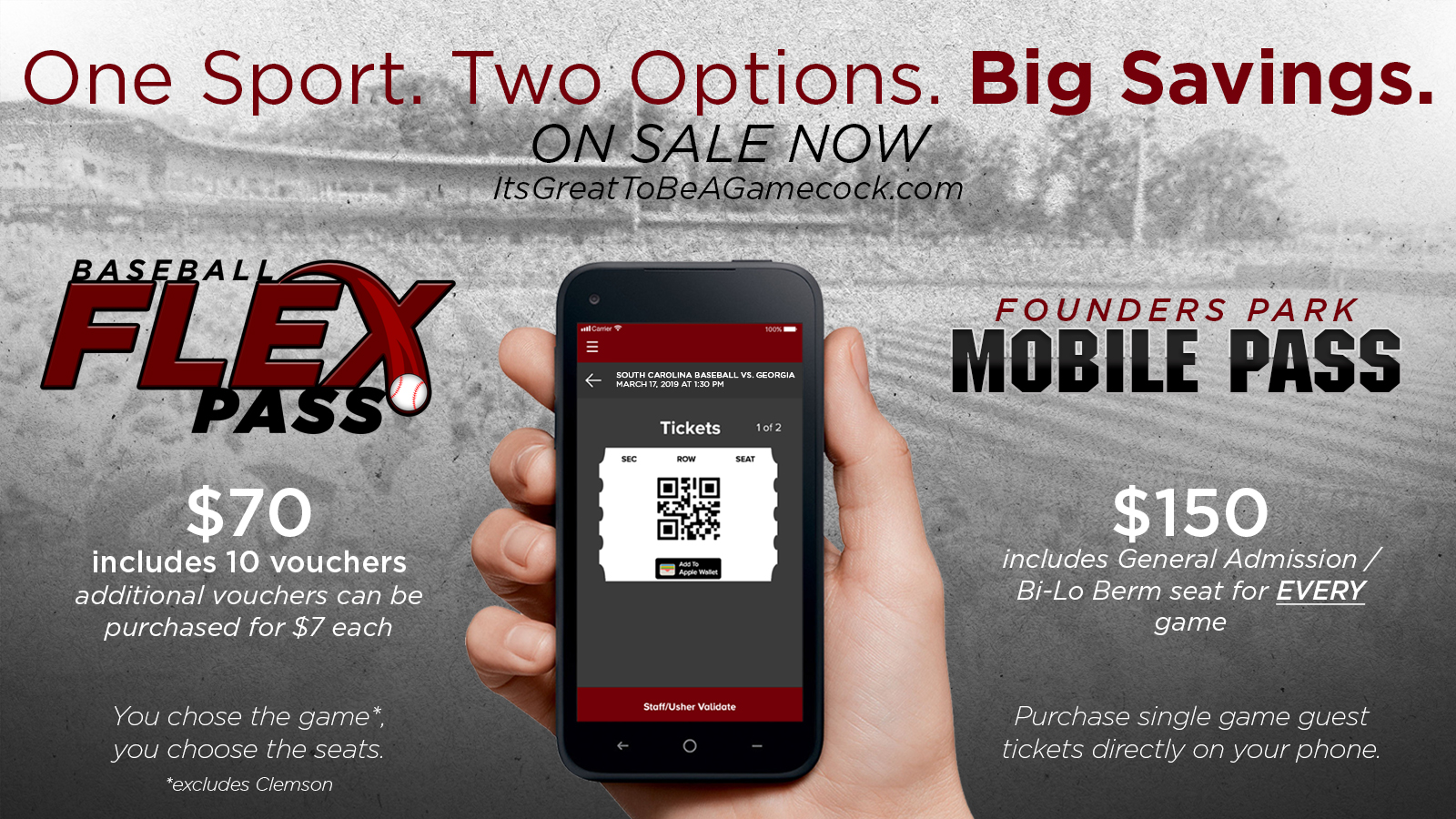 Baseball Announces Changes to Mobile Pass Program