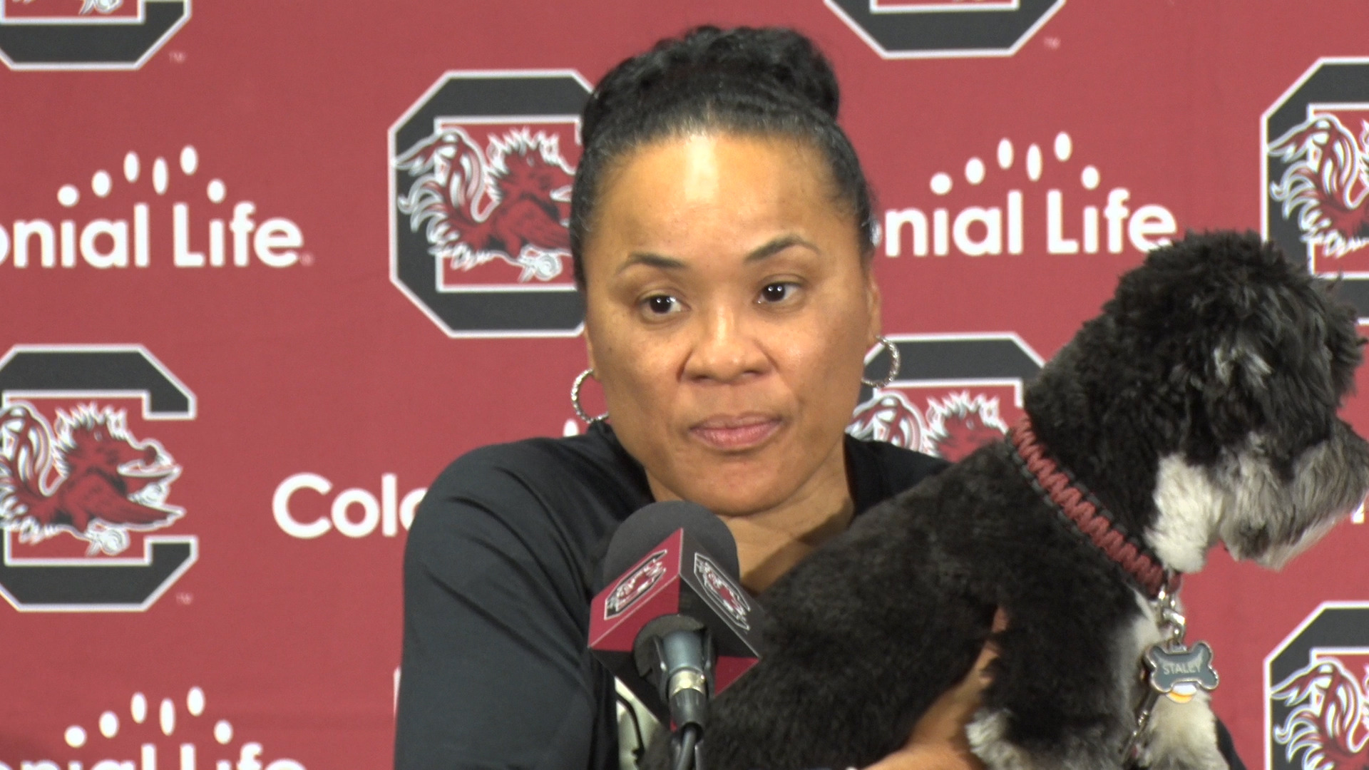 Dawn Staley Summer Update Press Conference