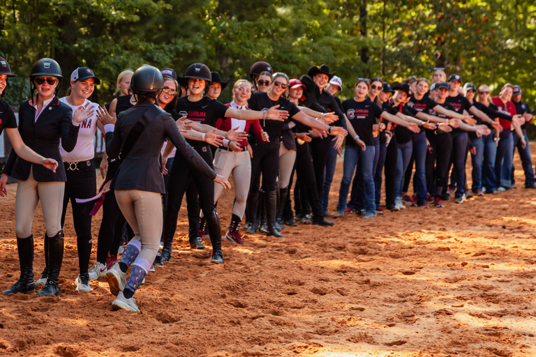 University of South Carolina Athletics