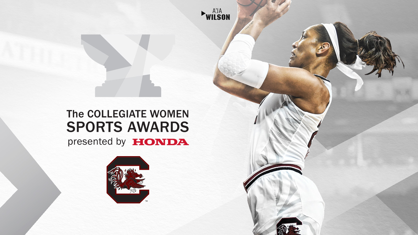 Wilson Wins Honda Sport Award for Basketball