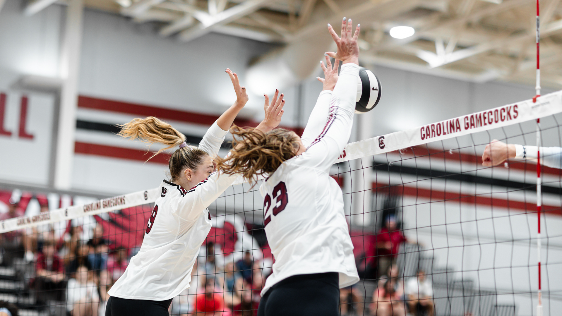 Gamecocks Wrap Up Non-Conference Schedule at Home