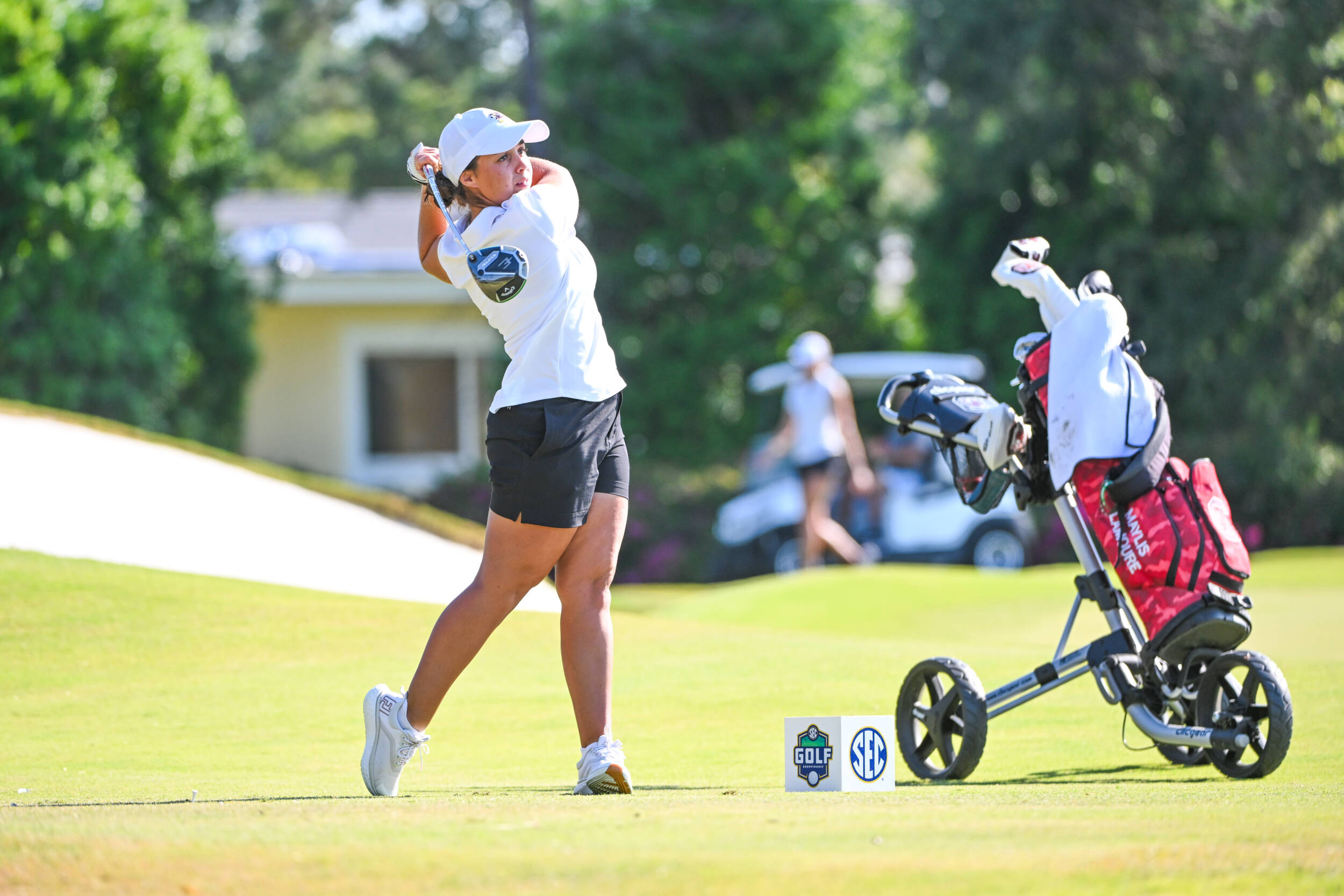 No. 23 Gamecocks Open Play at SEC Championship Friday