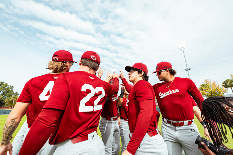 University of South Carolina Athletics