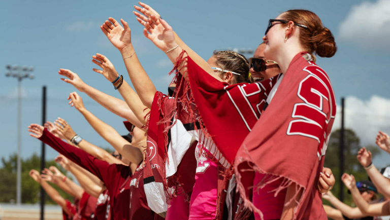 University of South Carolina Athletics