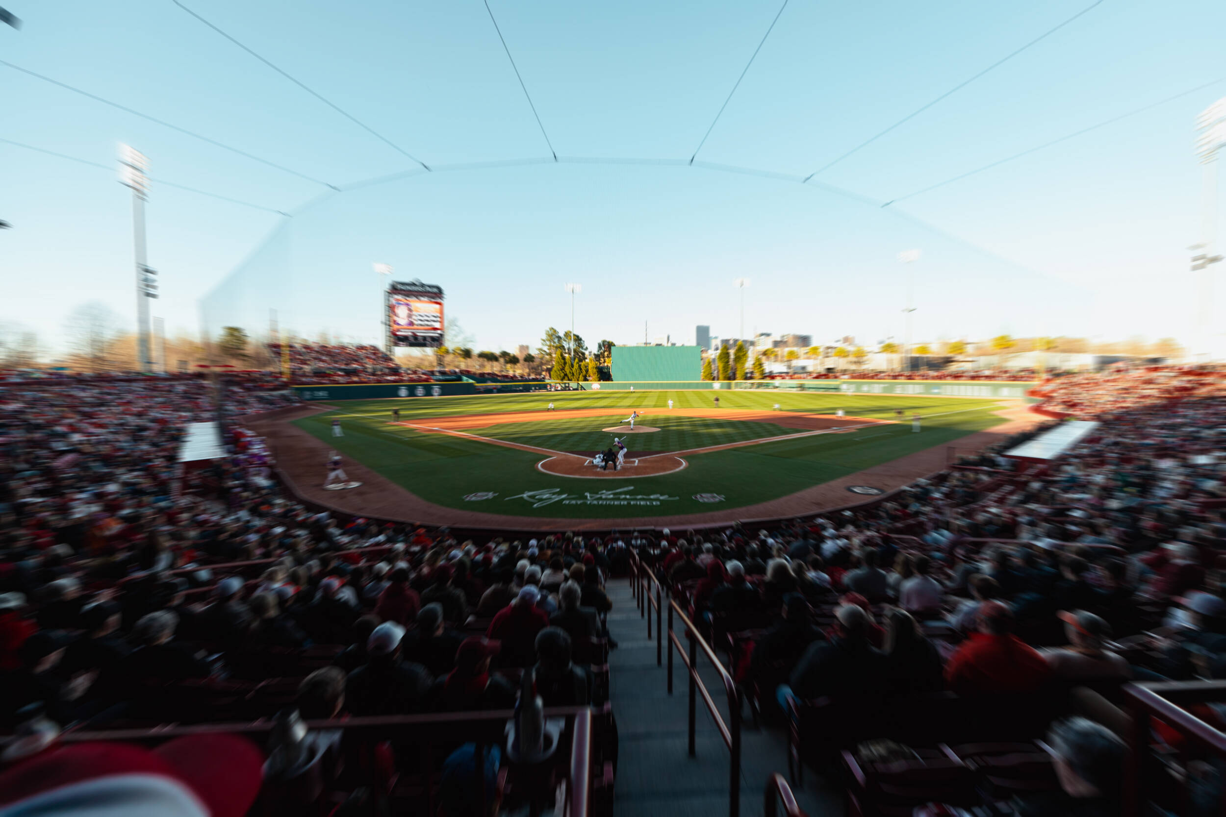Baseball to Face Charlotte, College of Charleston This Fall